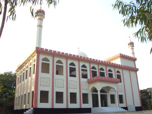 مشاريع النجاة