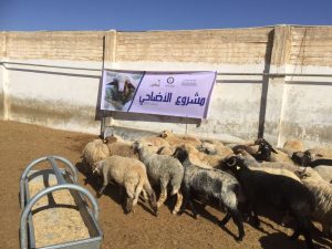 أضاحي جمعية النجاة الخيرية